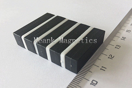 30x10x7mm Plastic Coated Magnets